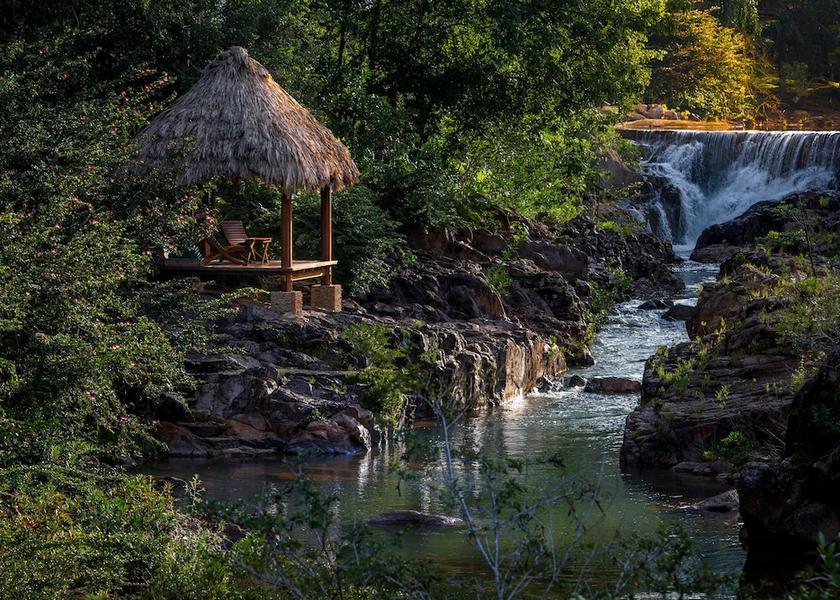 Cayo District Mountain Pine Ridge Primary image
