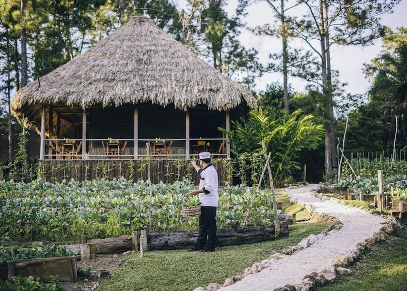 Cayo Mountain Pine Ridge Restaurant