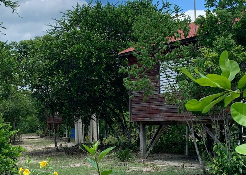 Stann Creek District Hopkins View From Room