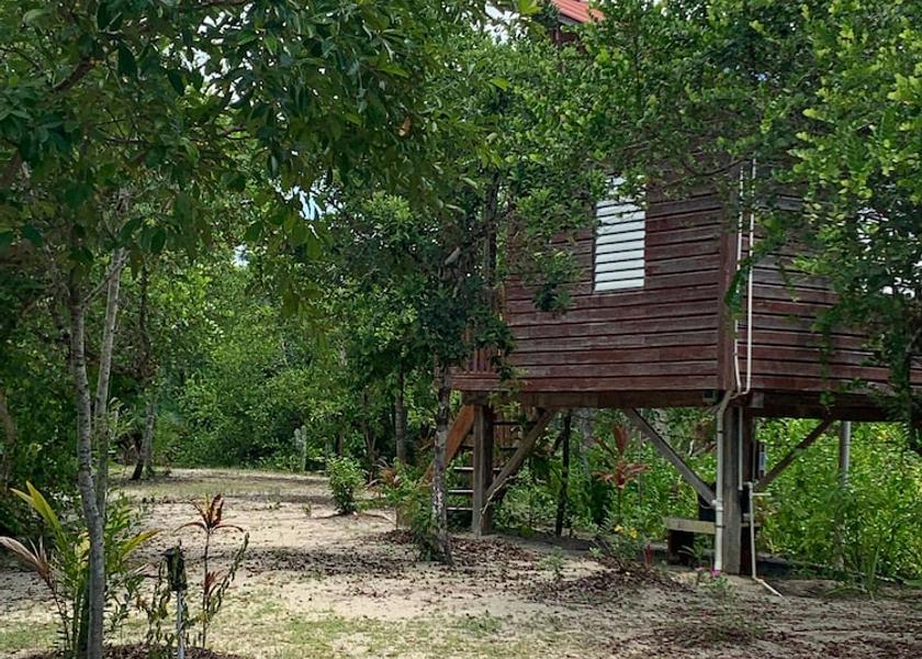Stann Creek District Hopkins Room