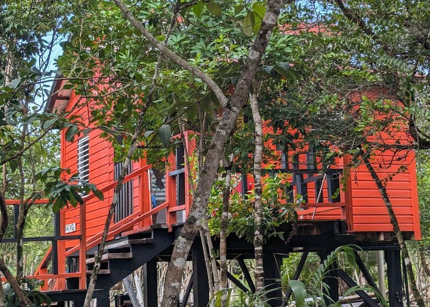 Stann Creek District Hopkins Room