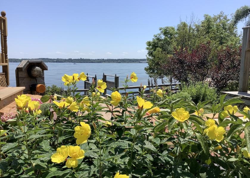 Ontario Prescott Garden