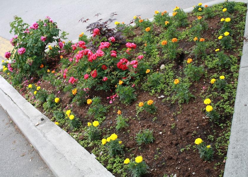 British Columbia Penticton Garden