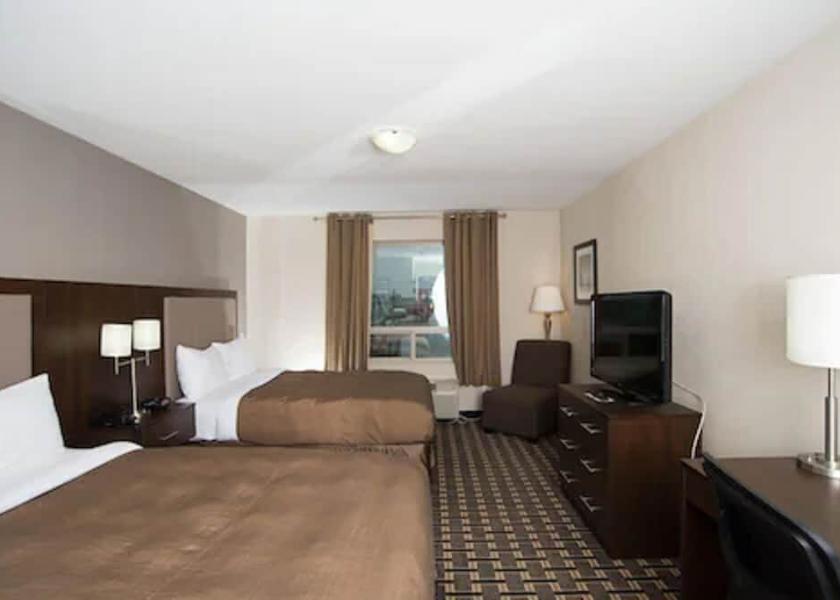 Saskatchewan Carlyle Primary image