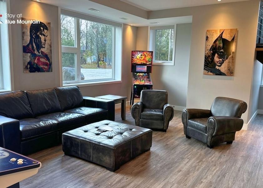Ontario Blue Mountains Living Area