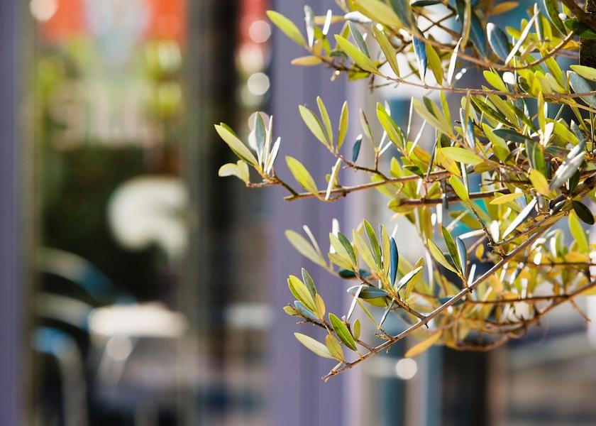 Canton of Solothurn Olten Exterior Detail