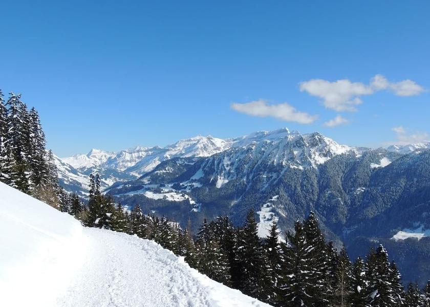 Canton of Vaud Leysin Exterior Detail