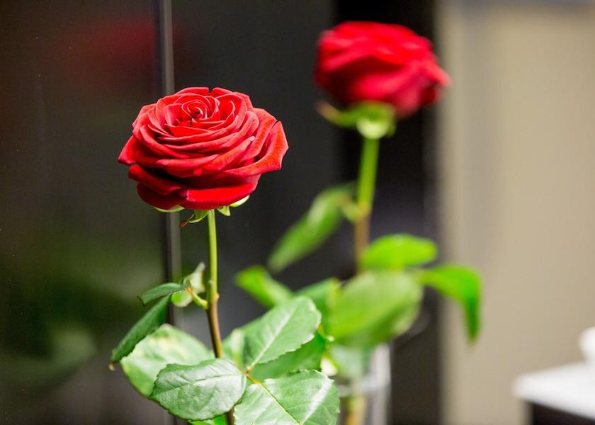 Basel-Landschaft Basel Bathroom