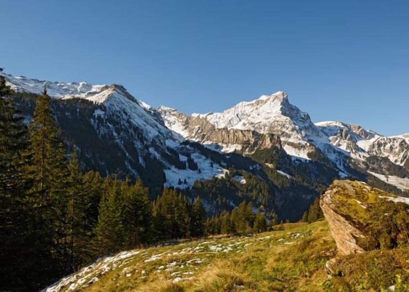 Canton of Bern Reichenbach im Kandertal Exterior detail