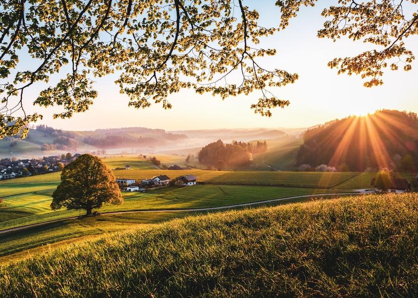 Canton of Bern Durrenroth Land View from Property