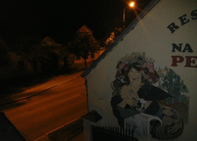 Plzen (region) Stary Plzenec View from Property