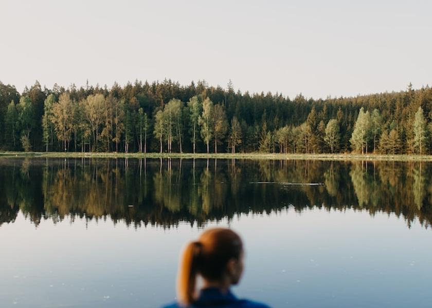 Vysocina (region) Snezne Lake