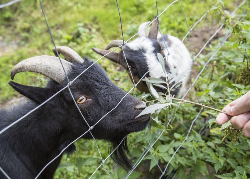 Central Bohemia (region) Uzice Exterior Detail