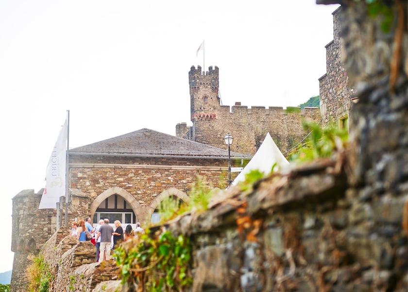 Rhineland-Palatinate Trechtingshausen Property Grounds