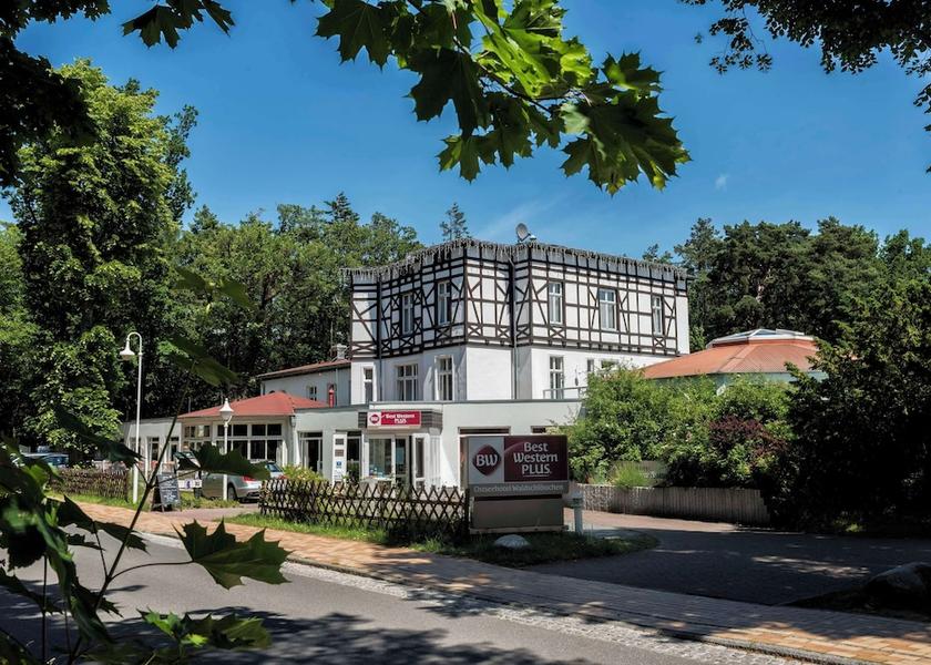 Mecklenburg-West Pomerania Ostseebad Prerow Primary image