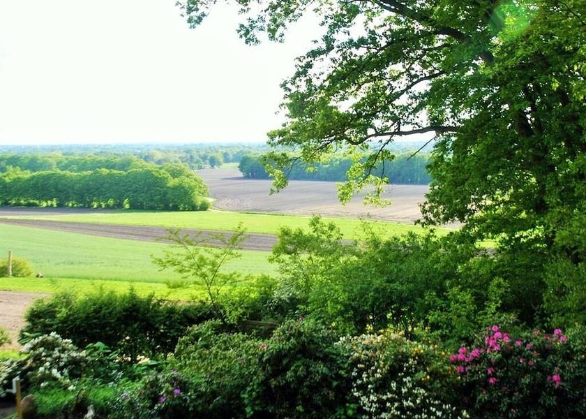 Lower Saxony Worpswede View from Property