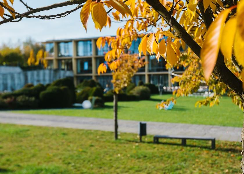 Saxony Niederwiesa Garden