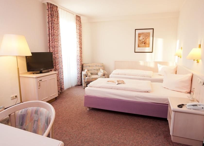 Hessen Ruedesheim am Rhein Room