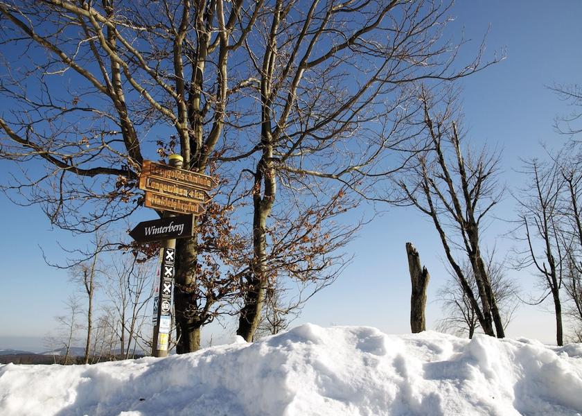 North Rhine-Westphalia Winterberg Hiking