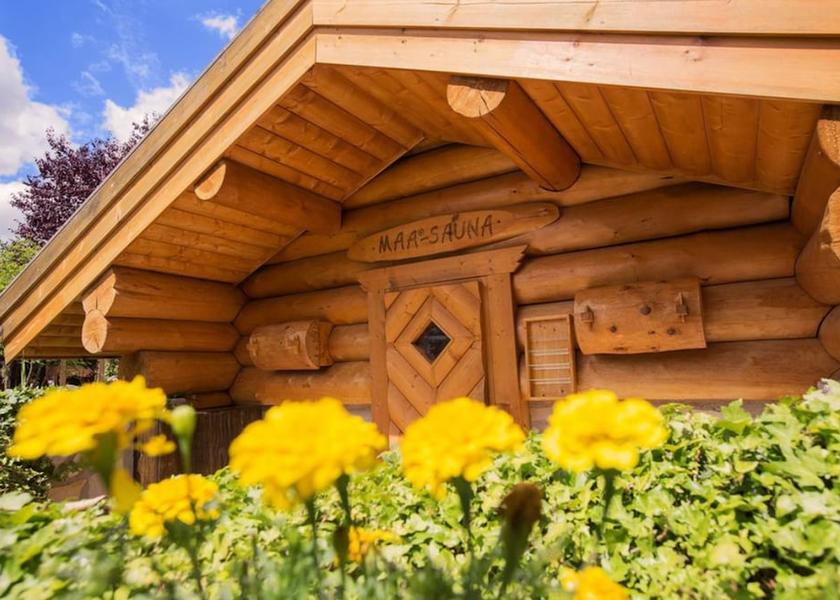 Brandenburg Region Senftenberg Sauna