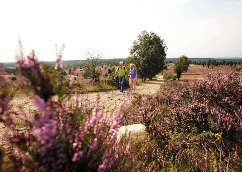 Lower Saxony Südheide Spa