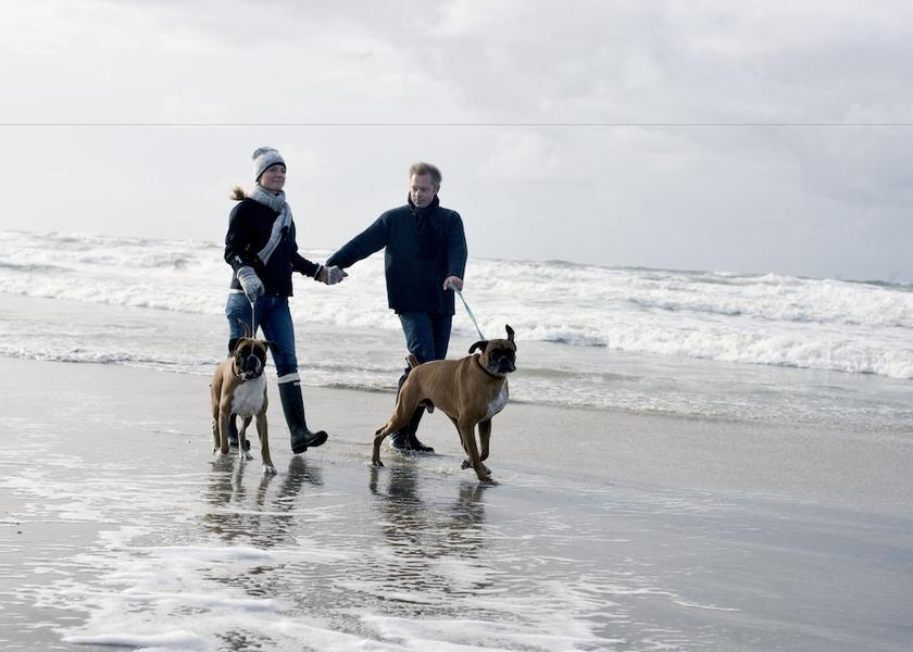Nordjylland (region) Aalbaek Beach