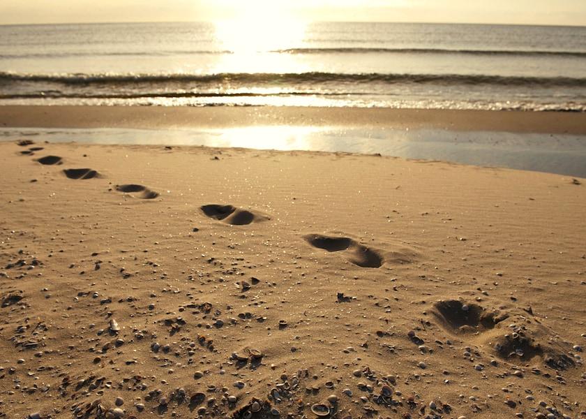 Nordjylland Aalbaek Beach