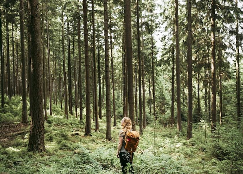 Midtjylland Silkeborg Hiking