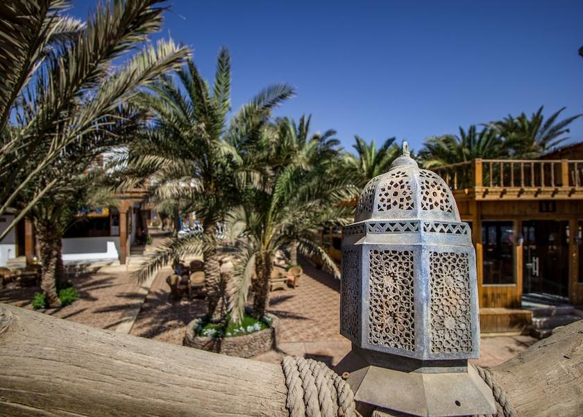 South Sinai Governorate Dahab Terrace/patio