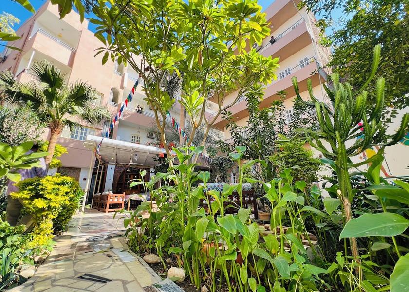 Luxor Governorate Luxor Garden