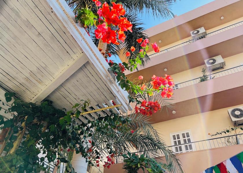 Luxor Governorate Luxor Garden