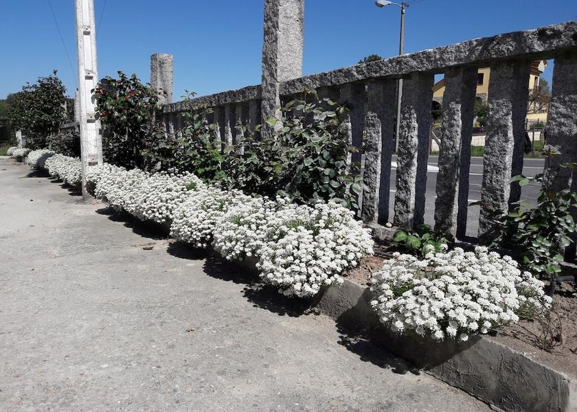Galicia San Cibrao Das Vinas Property grounds