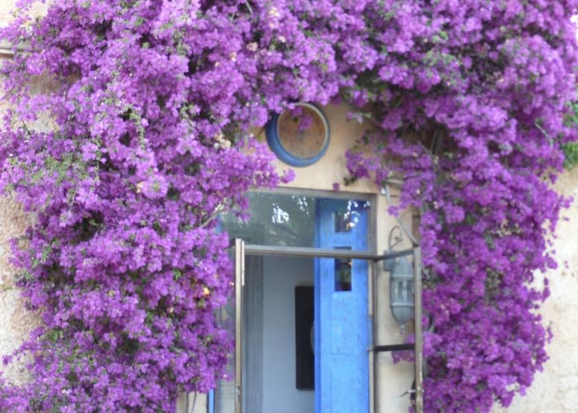Balearic Islands Ses Salines Property entrance