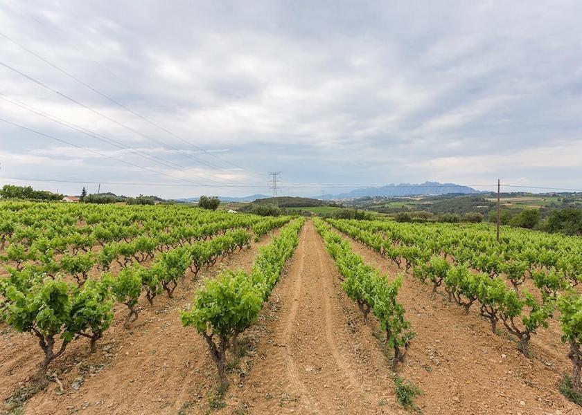 Catalonia Sant Llorenc d'Hortons Mountain view