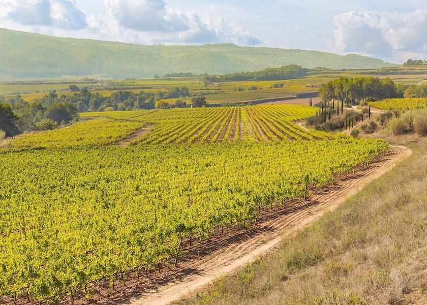 Catalonia Sant Llorenc d'Hortons View from property