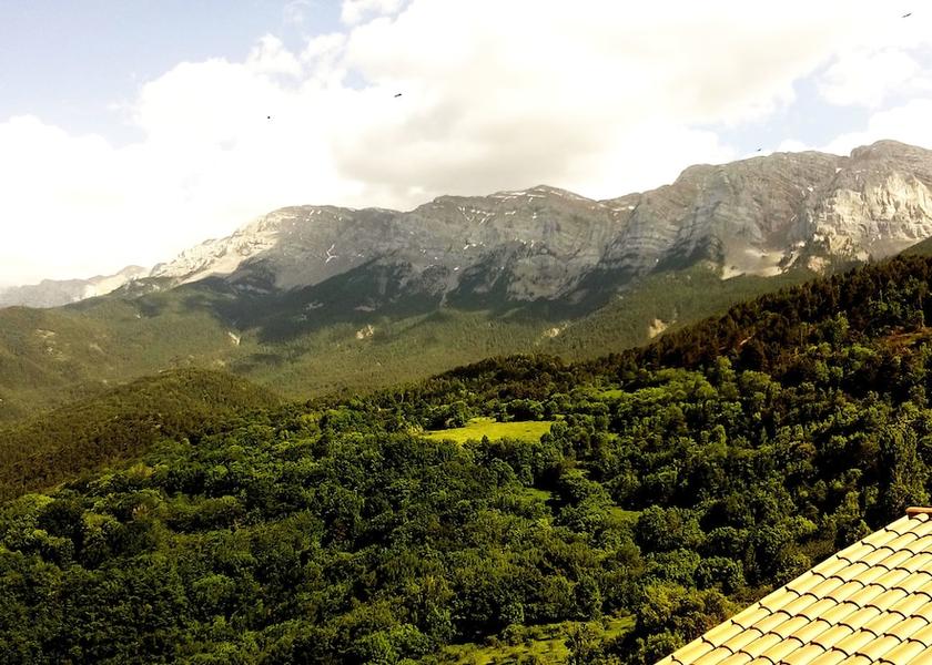 Catalonia Cava View From Room