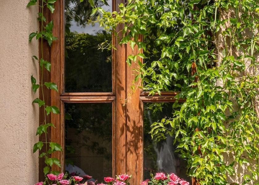 Balearic Islands Sineu Room