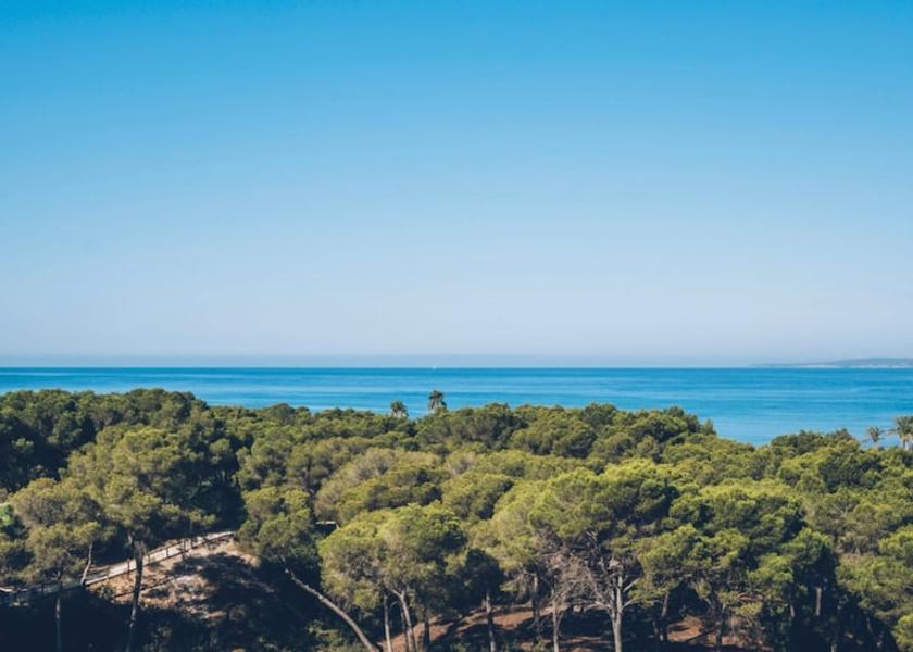 Balearic Islands Palma de Mallorca Exterior
