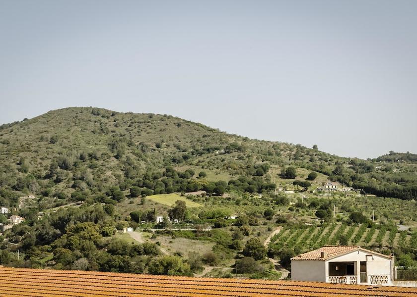 Catalonia La Selva del Camp Land view from property