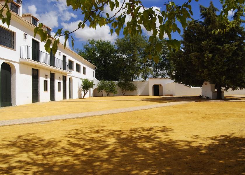 Extremadura Llerena Exterior Detail