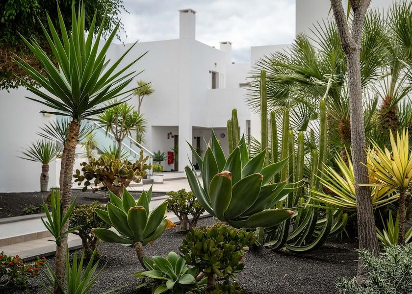 Canary Islands Tías Garden