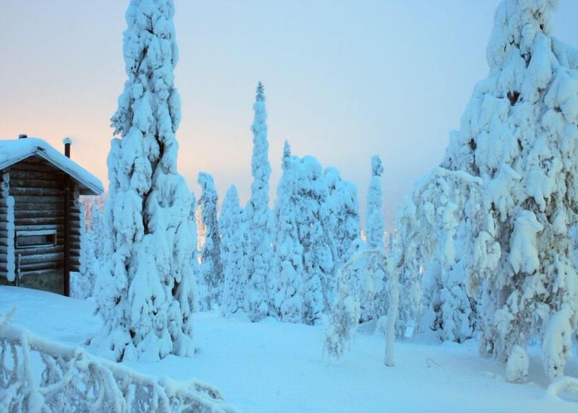 Northern Ostrobothnia Kuusamo View from Property