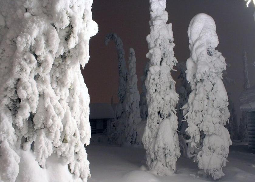 Northern Ostrobothnia Kuusamo View from Property