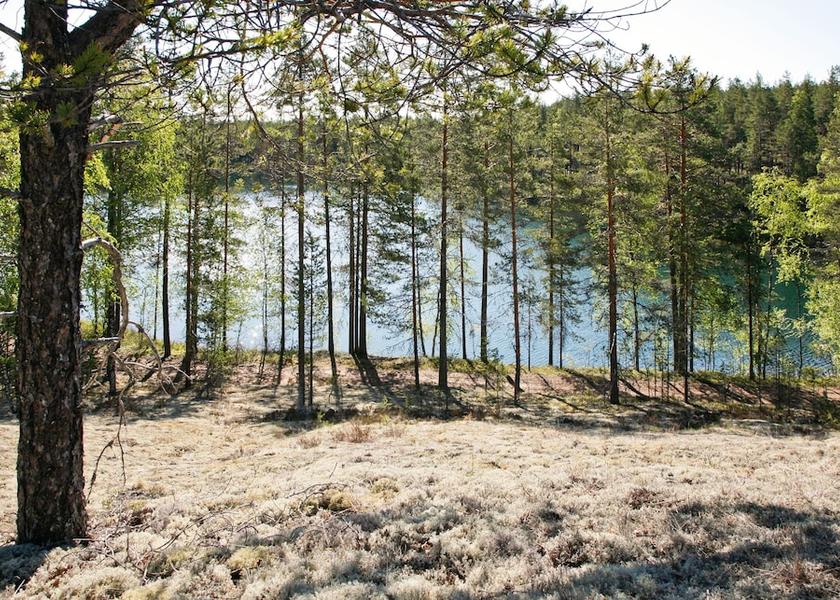 Oulu Ahmas Land View from Property