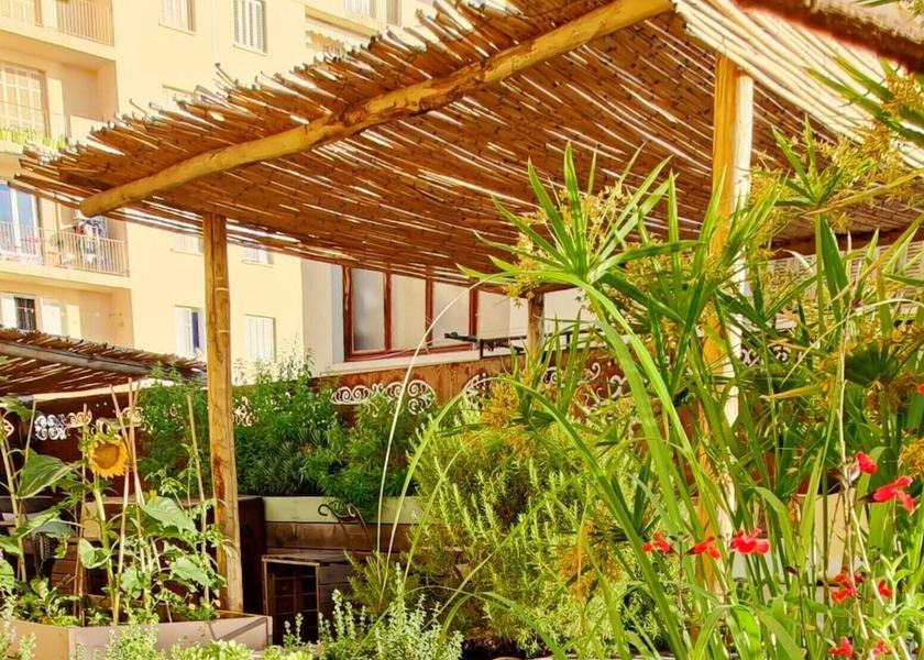 Corsica Bastia Terrace