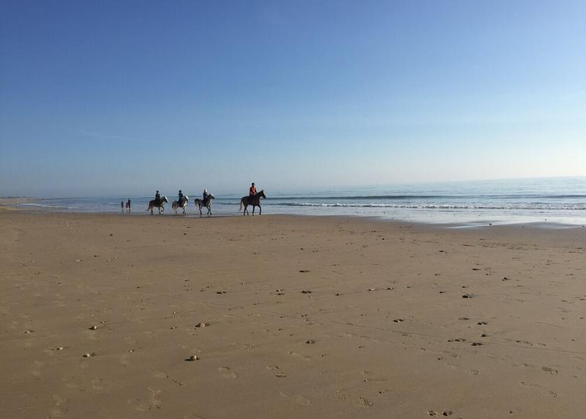Nouvelle-Aquitaine Le Bois-Plage-En-Re Beach