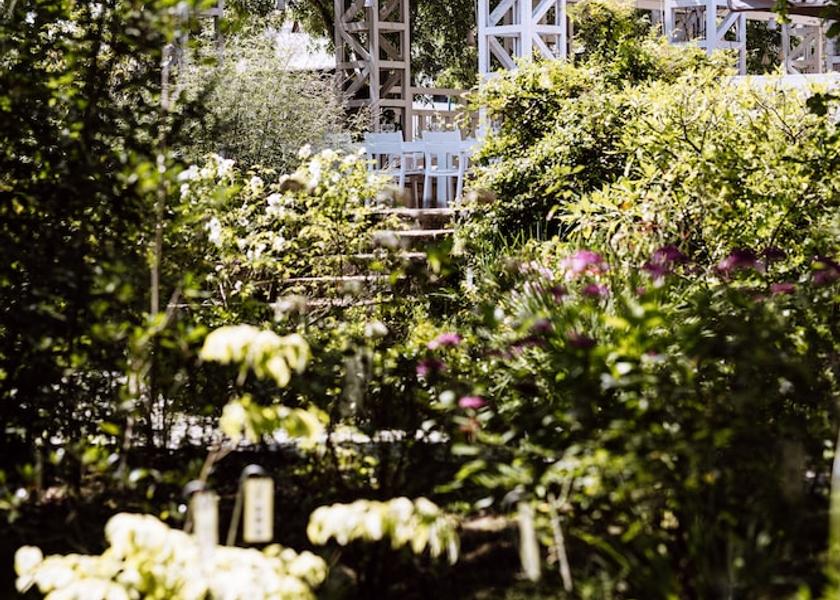 Nouvelle-Aquitaine Mont-de-Marsan Garden