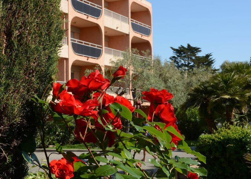 Provence-Alpes-Côte d'Azur Vallauris Garden