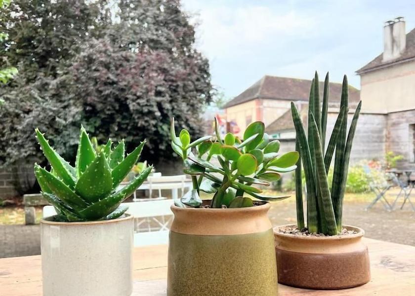 Bourgogne-Franche-Comte Saint-Clement Terrace