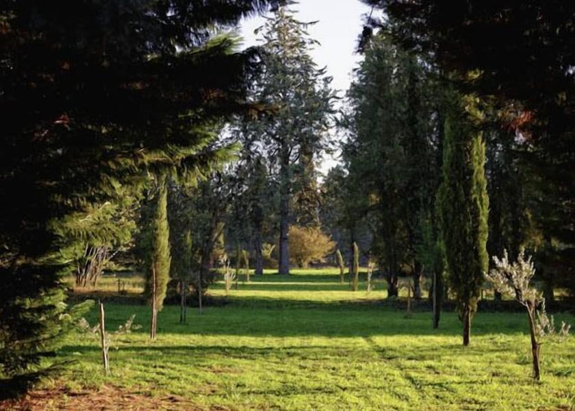 Provence - Alpes - Cote d'Azur Orgon Property Grounds